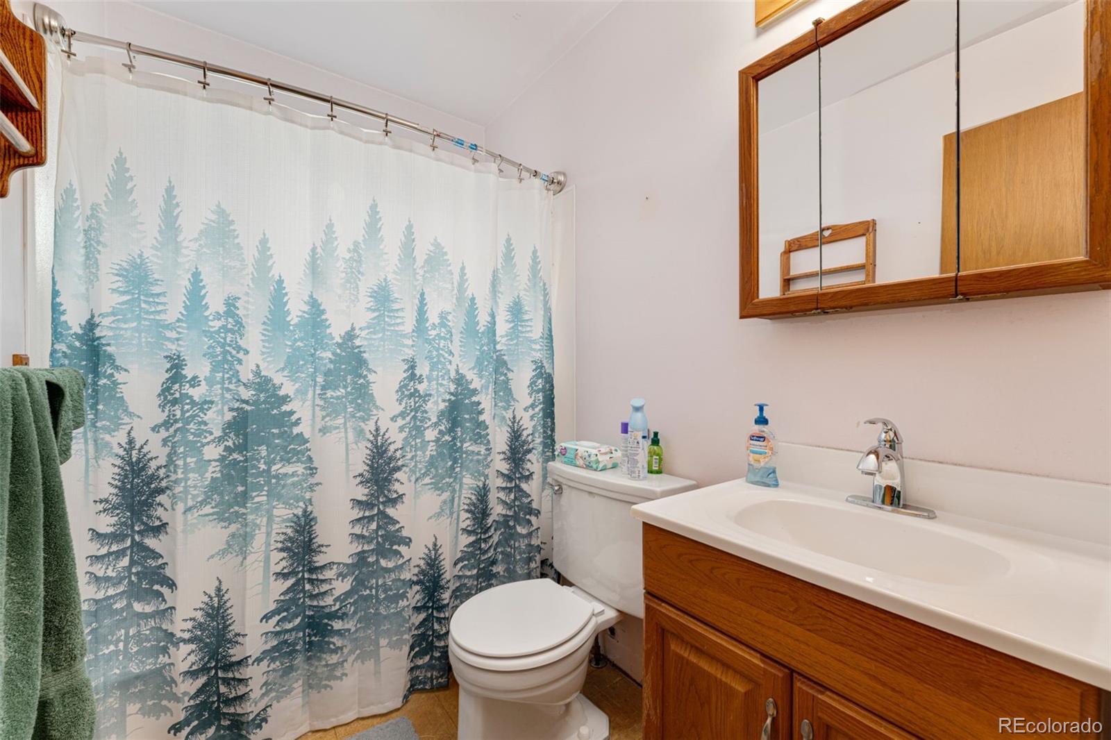 MLS Image #10 for 7241  raritan street,denver, Colorado