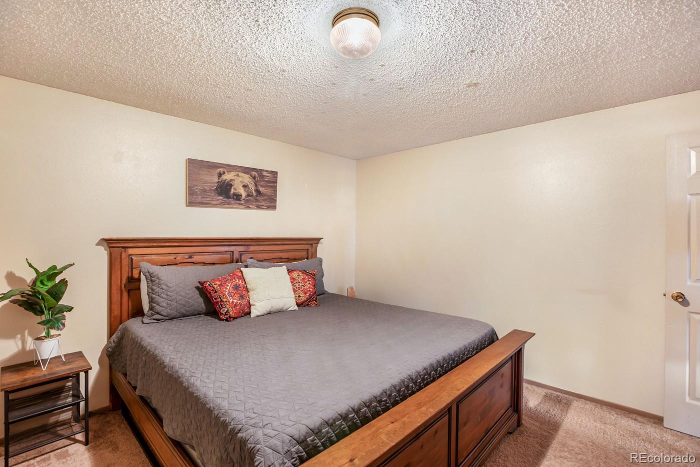 MLS Image #22 for 235  ute trail,woodland park, Colorado
