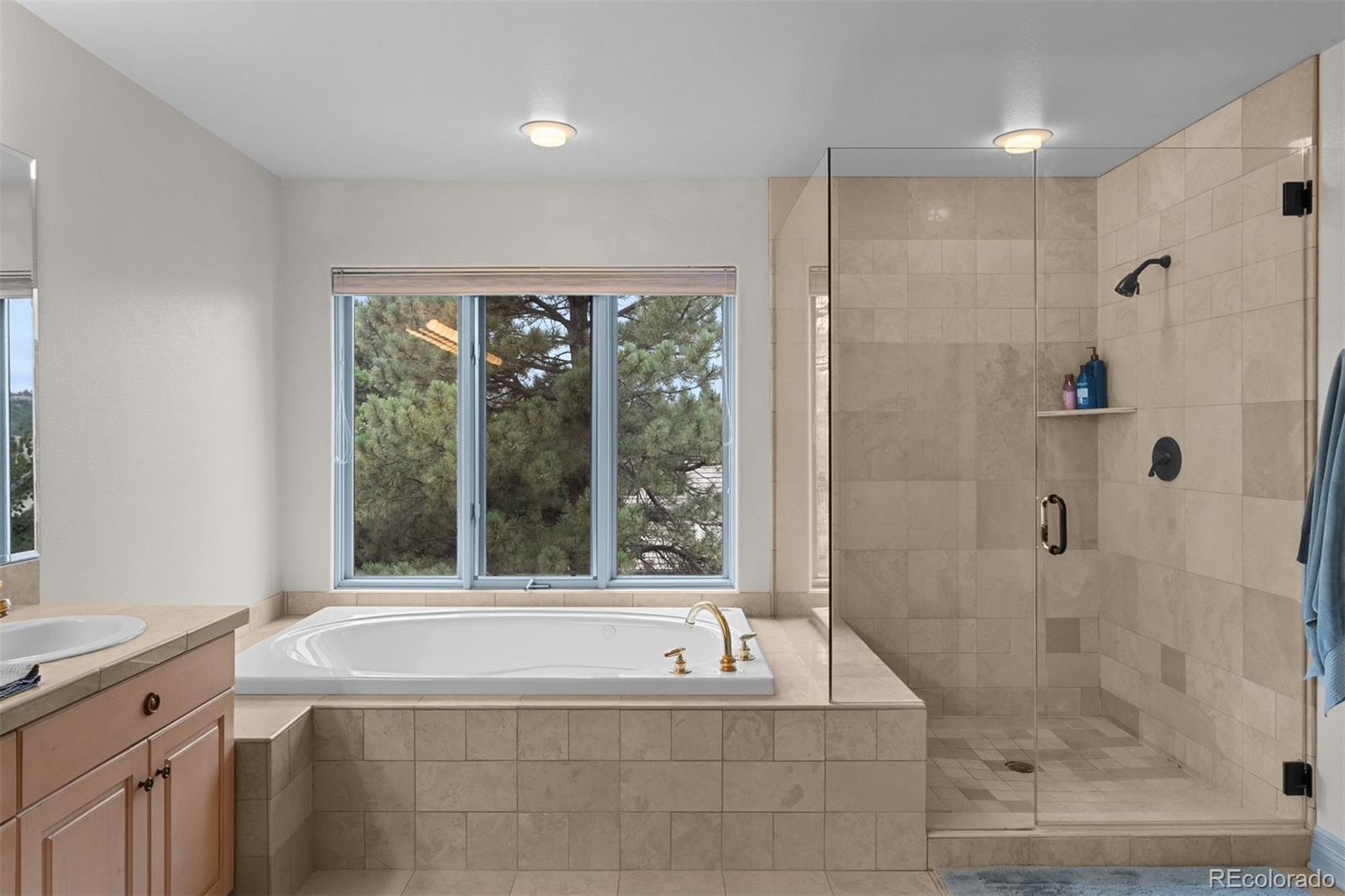 MLS Image #29 for 874  wolverine court,castle rock, Colorado