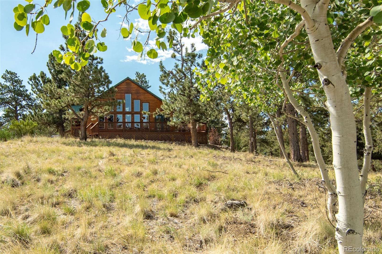 MLS Image #10 for 3296  singletree road,hartsel, Colorado