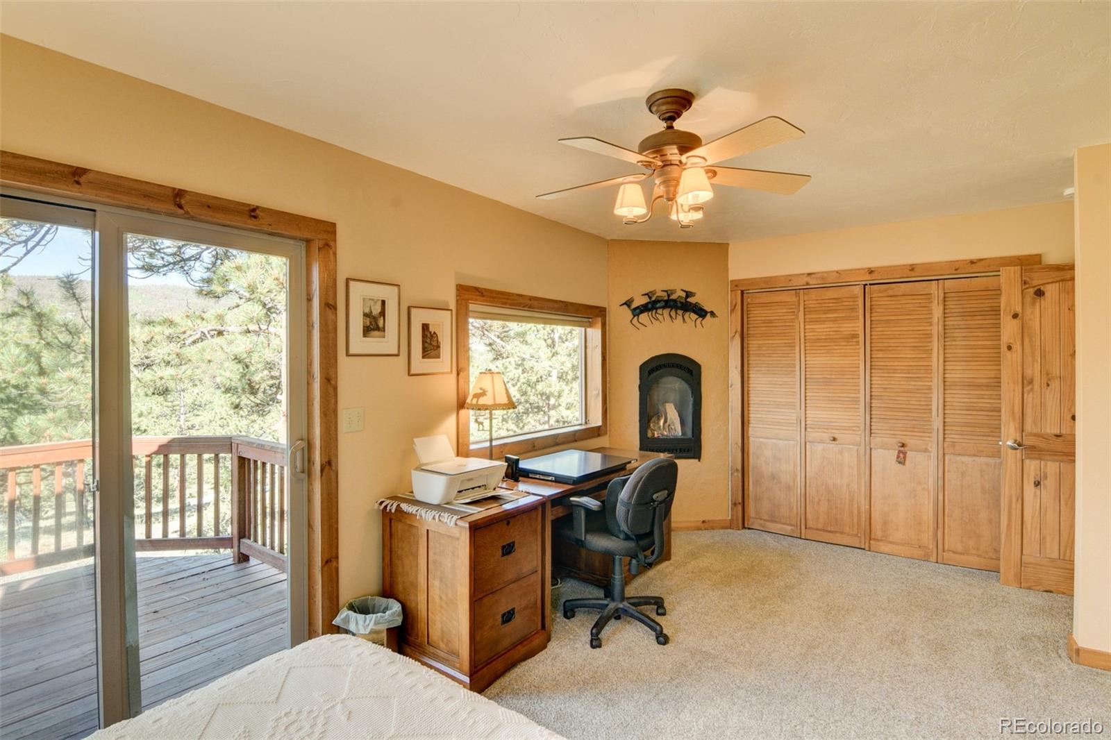 MLS Image #29 for 3296  singletree road,hartsel, Colorado