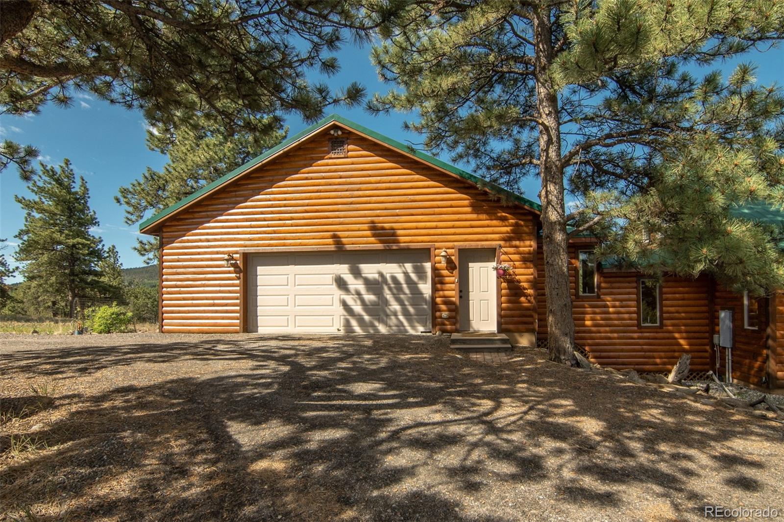 MLS Image #3 for 3296  singletree road,hartsel, Colorado