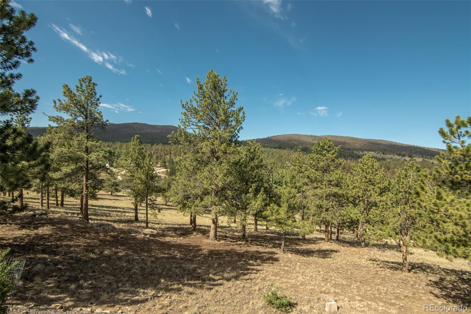 MLS Image #49 for 3296  singletree road,hartsel, Colorado