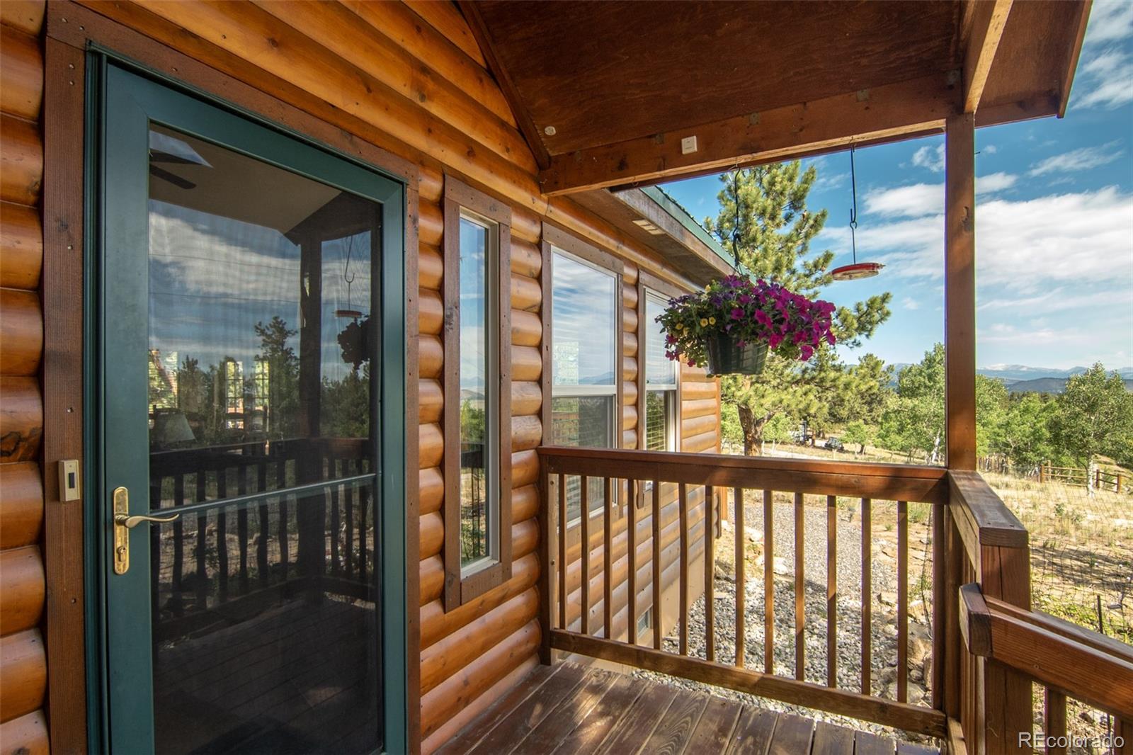 MLS Image #7 for 3296  singletree road,hartsel, Colorado