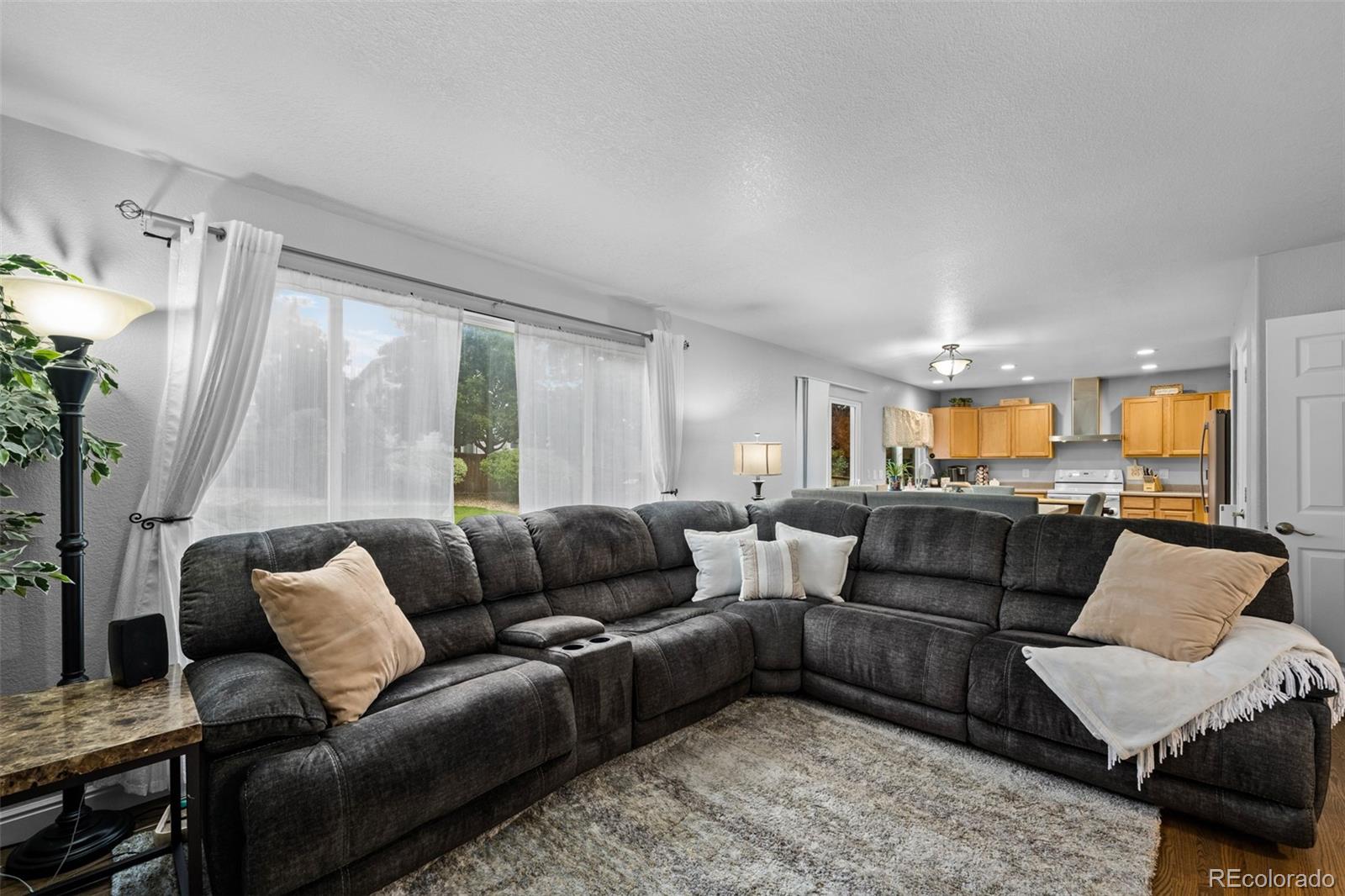 MLS Image #14 for 10445  cheetah winds ,lone tree, Colorado