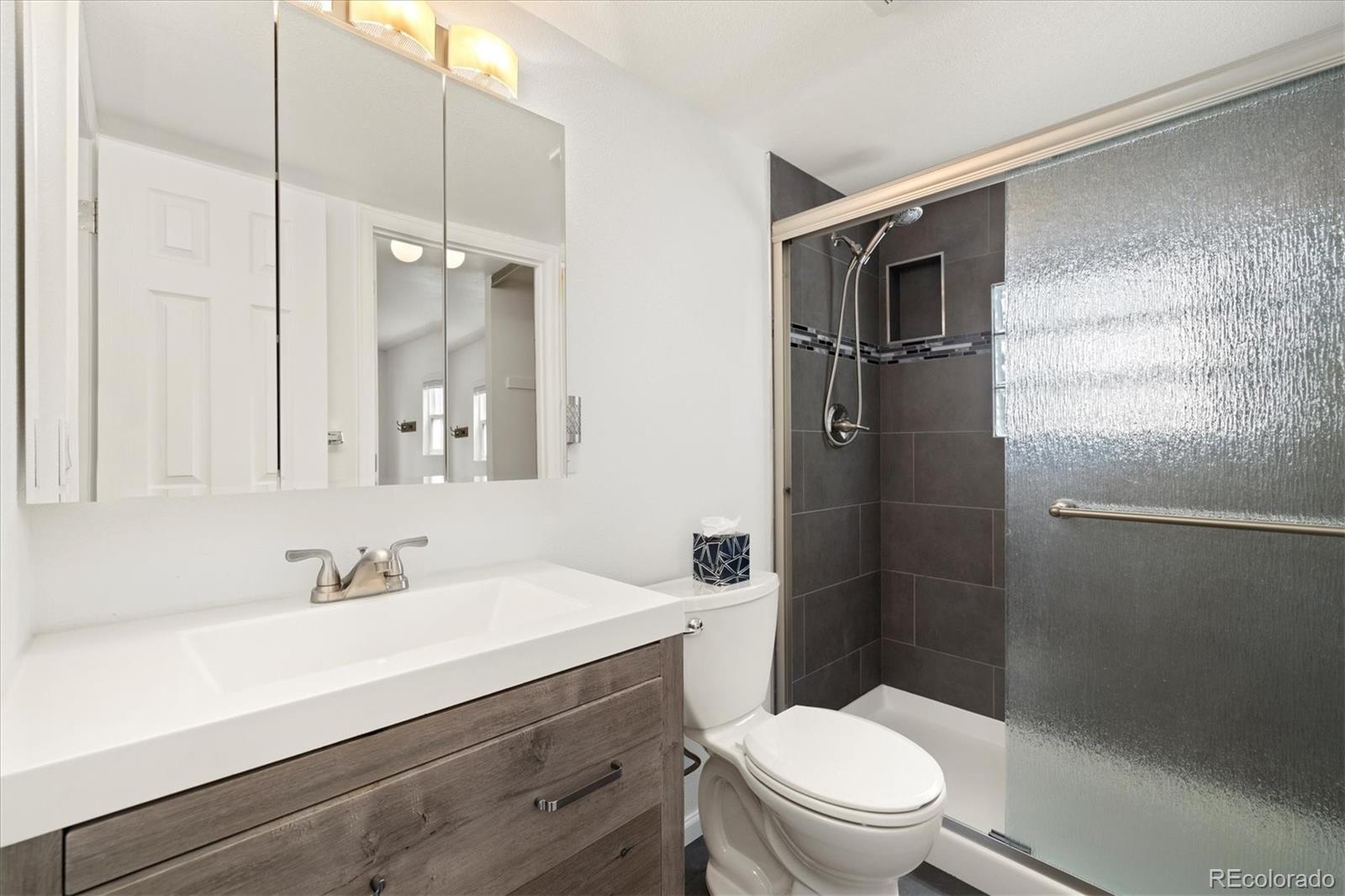 MLS Image #11 for 20797 e coolidge place,aurora, Colorado