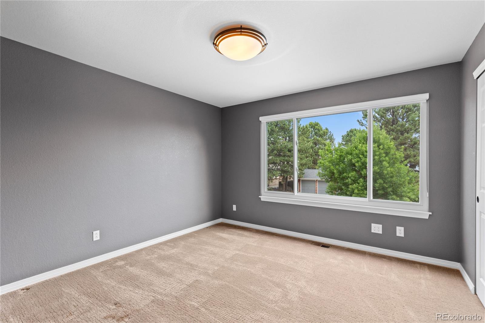 MLS Image #17 for 7271  brixham circle,castle pines, Colorado