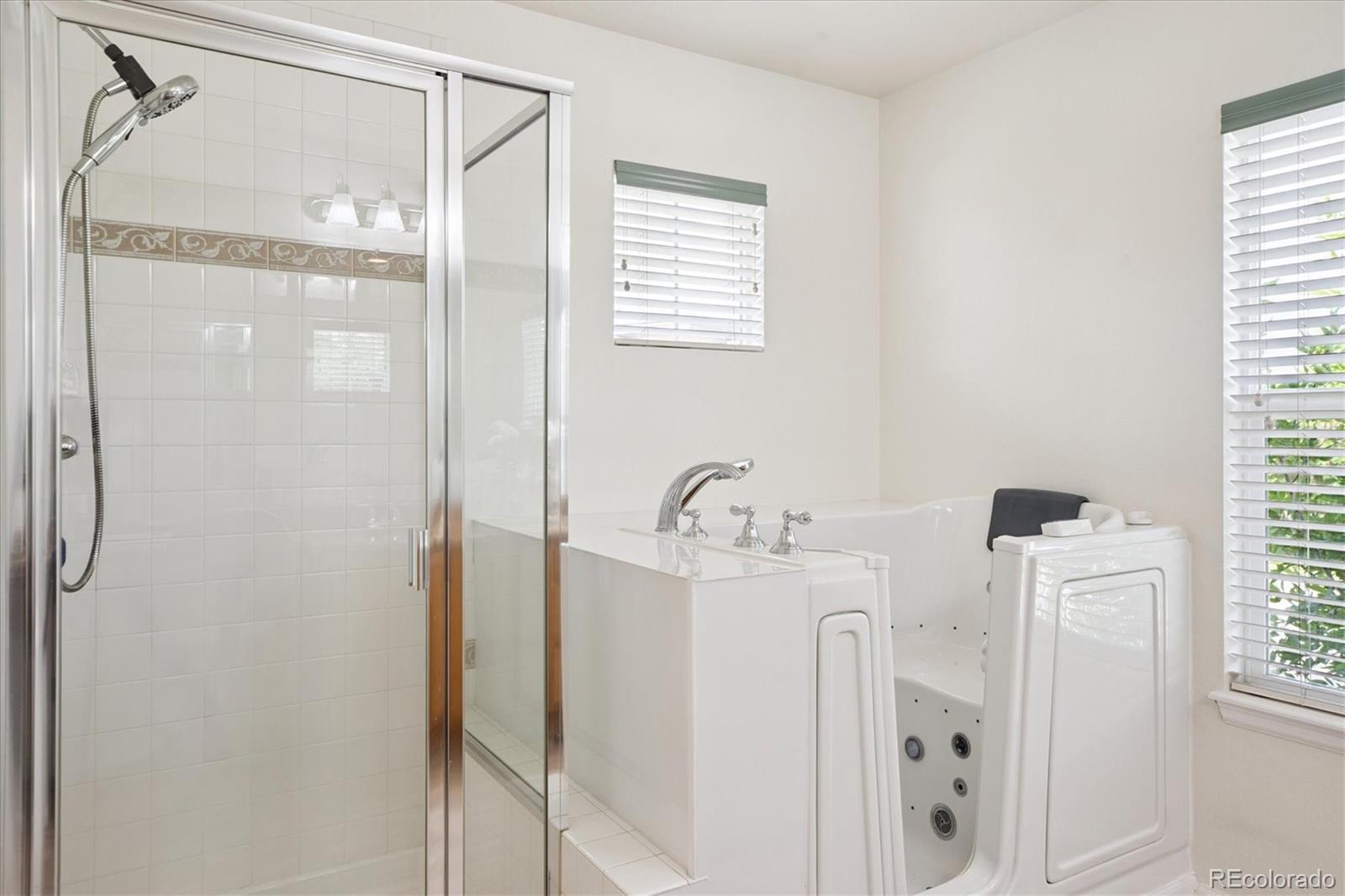 MLS Image #17 for 10754  towerbridge circle,highlands ranch, Colorado