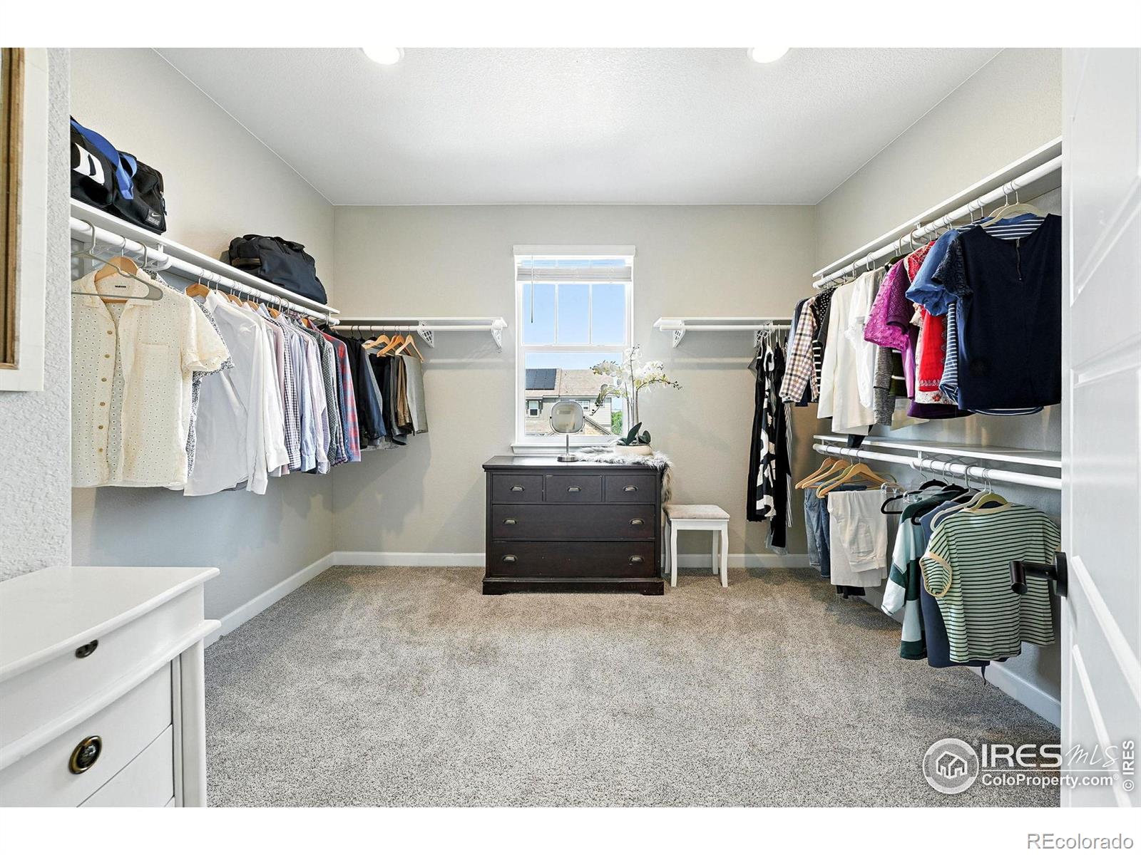 MLS Image #24 for 16320  graham peak way,broomfield, Colorado