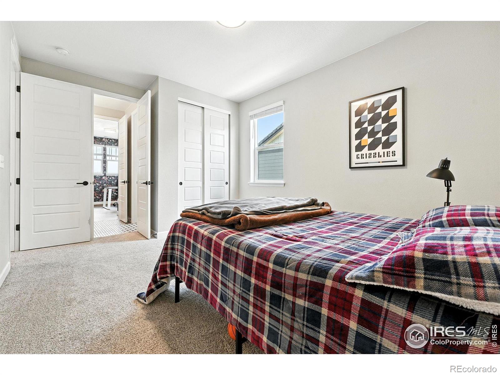 MLS Image #28 for 16320  graham peak way,broomfield, Colorado