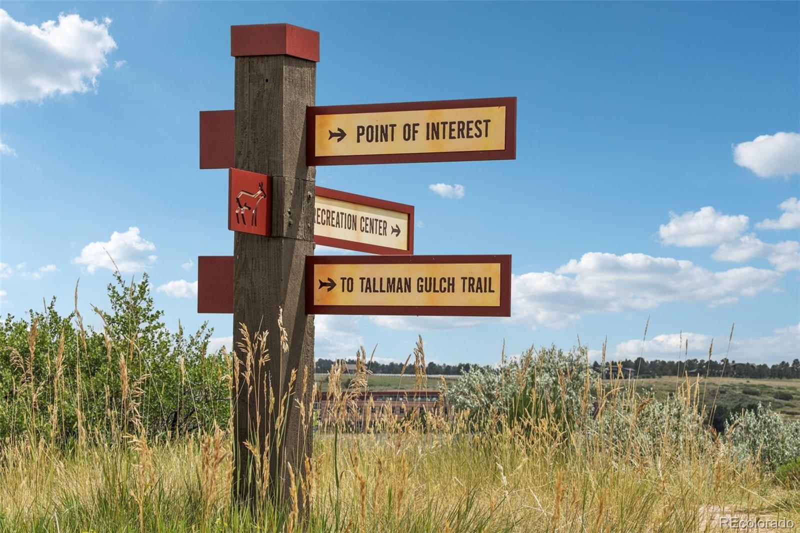 MLS Image #37 for 12176 s hidden trail court,parker, Colorado