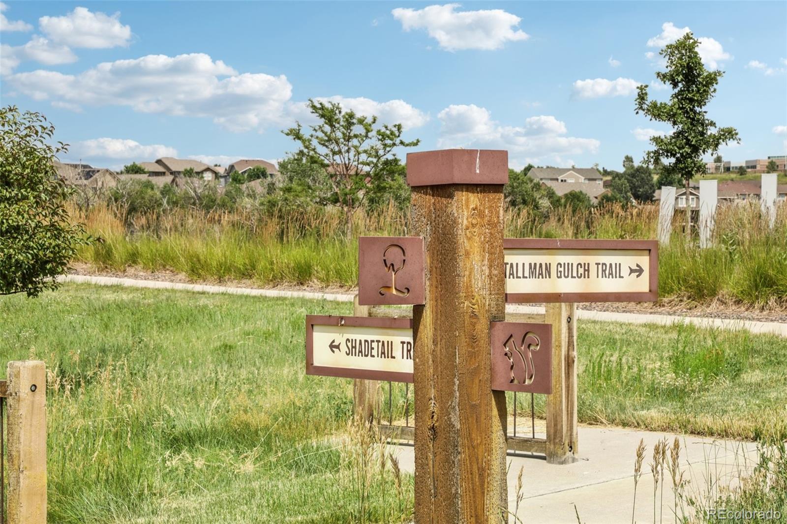 MLS Image #41 for 12176 s hidden trail court,parker, Colorado