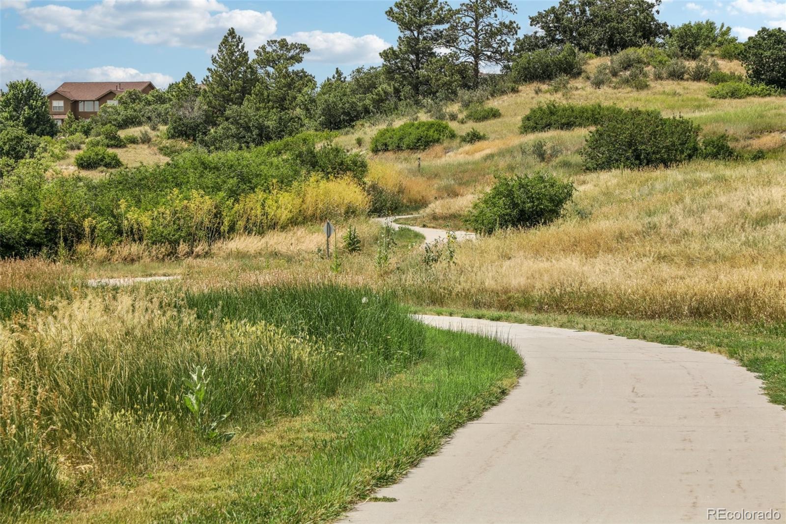MLS Image #46 for 12176 s hidden trail court,parker, Colorado