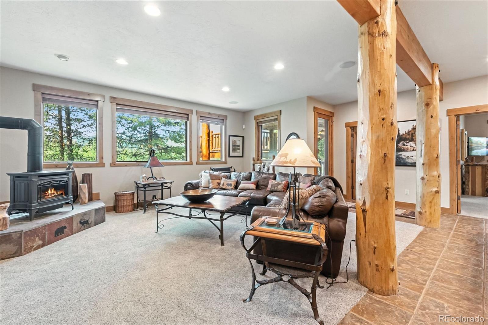 MLS Image #10 for 1730  red hawk road,silverthorne, Colorado