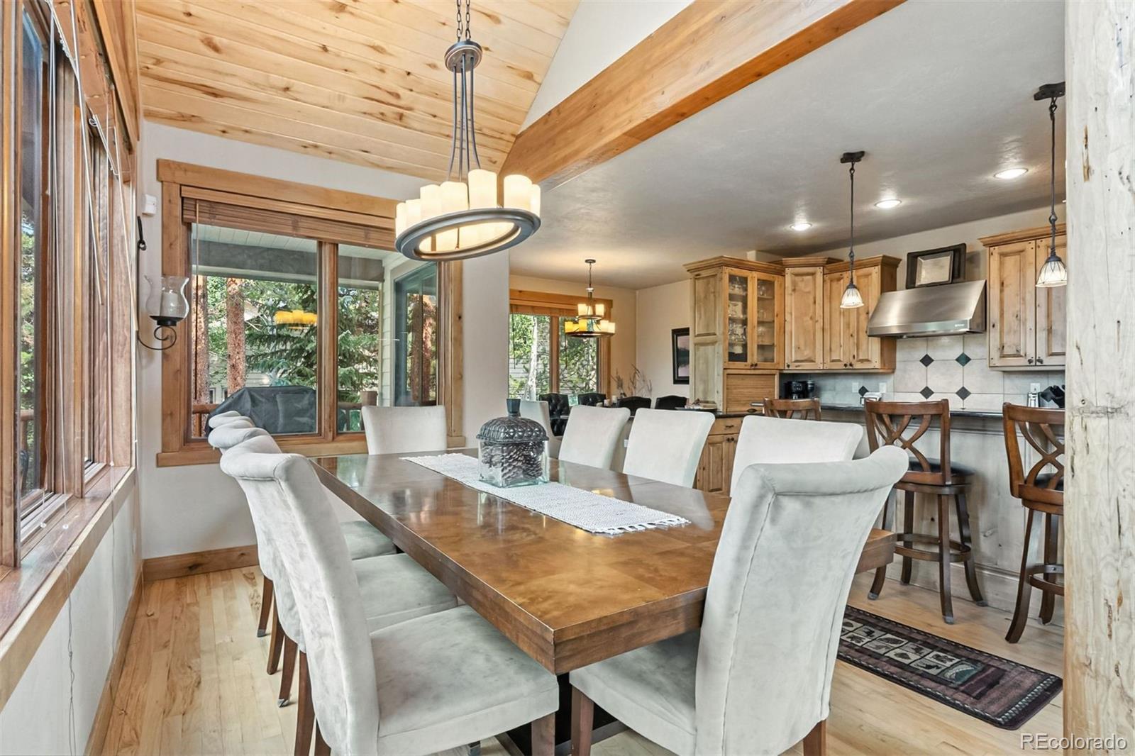 MLS Image #17 for 1730  red hawk road,silverthorne, Colorado