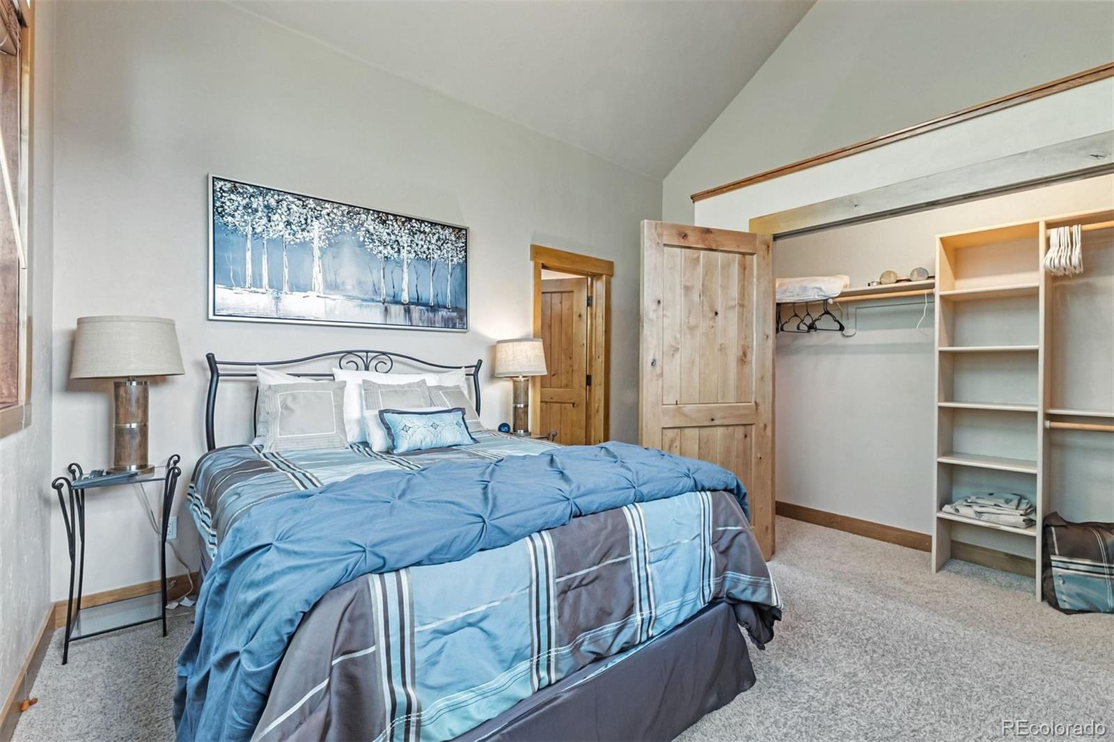 MLS Image #22 for 1730  red hawk road,silverthorne, Colorado