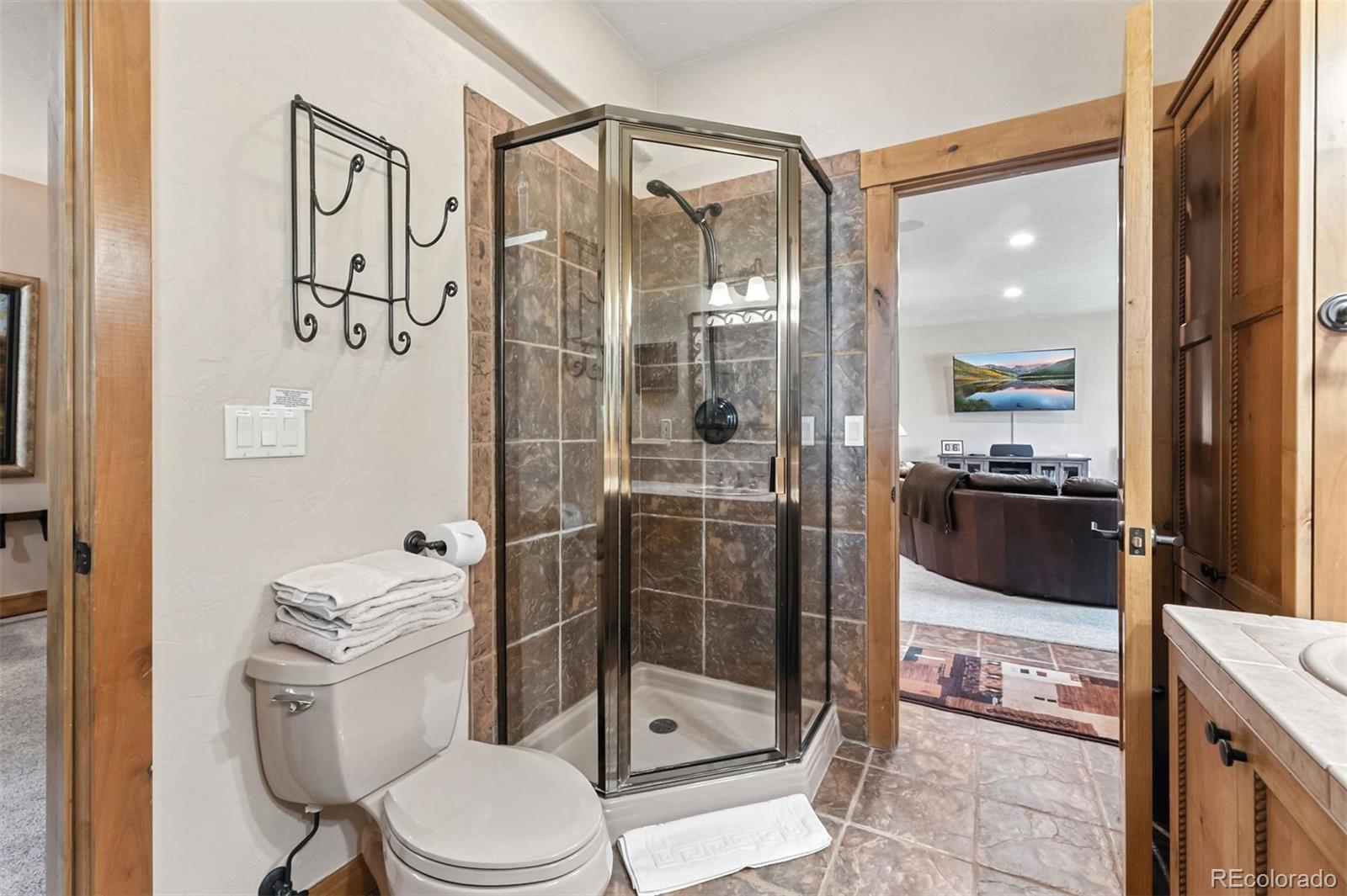 MLS Image #9 for 1730  red hawk road,silverthorne, Colorado