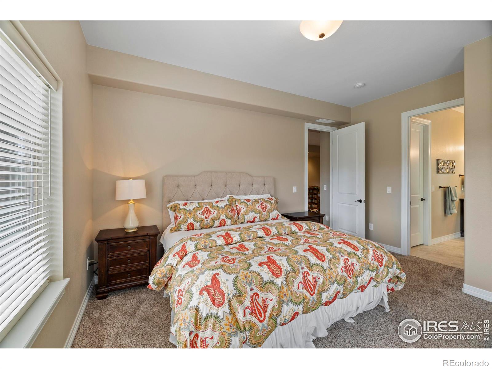 MLS Image #26 for 2939  sunset view drive,fort collins, Colorado
