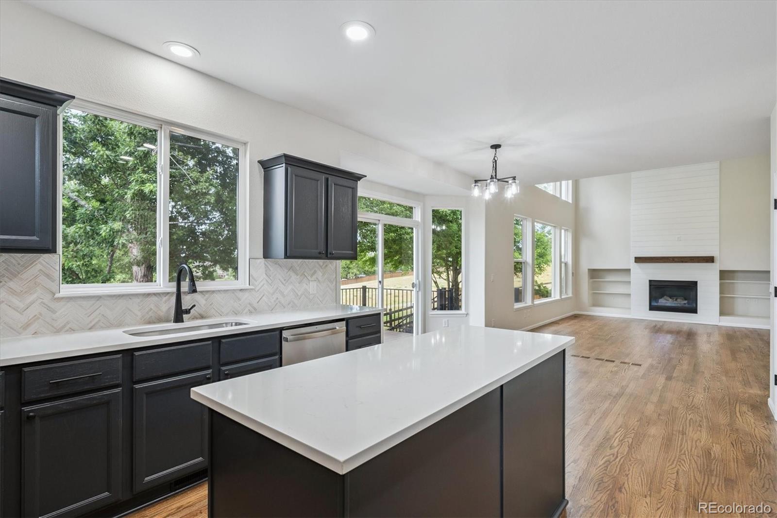 MLS Image #10 for 10765  willow reed court,parker, Colorado