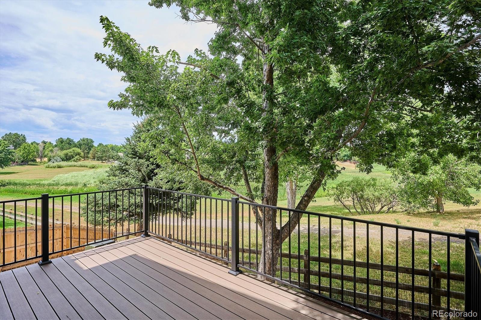 MLS Image #17 for 10765  willow reed court,parker, Colorado