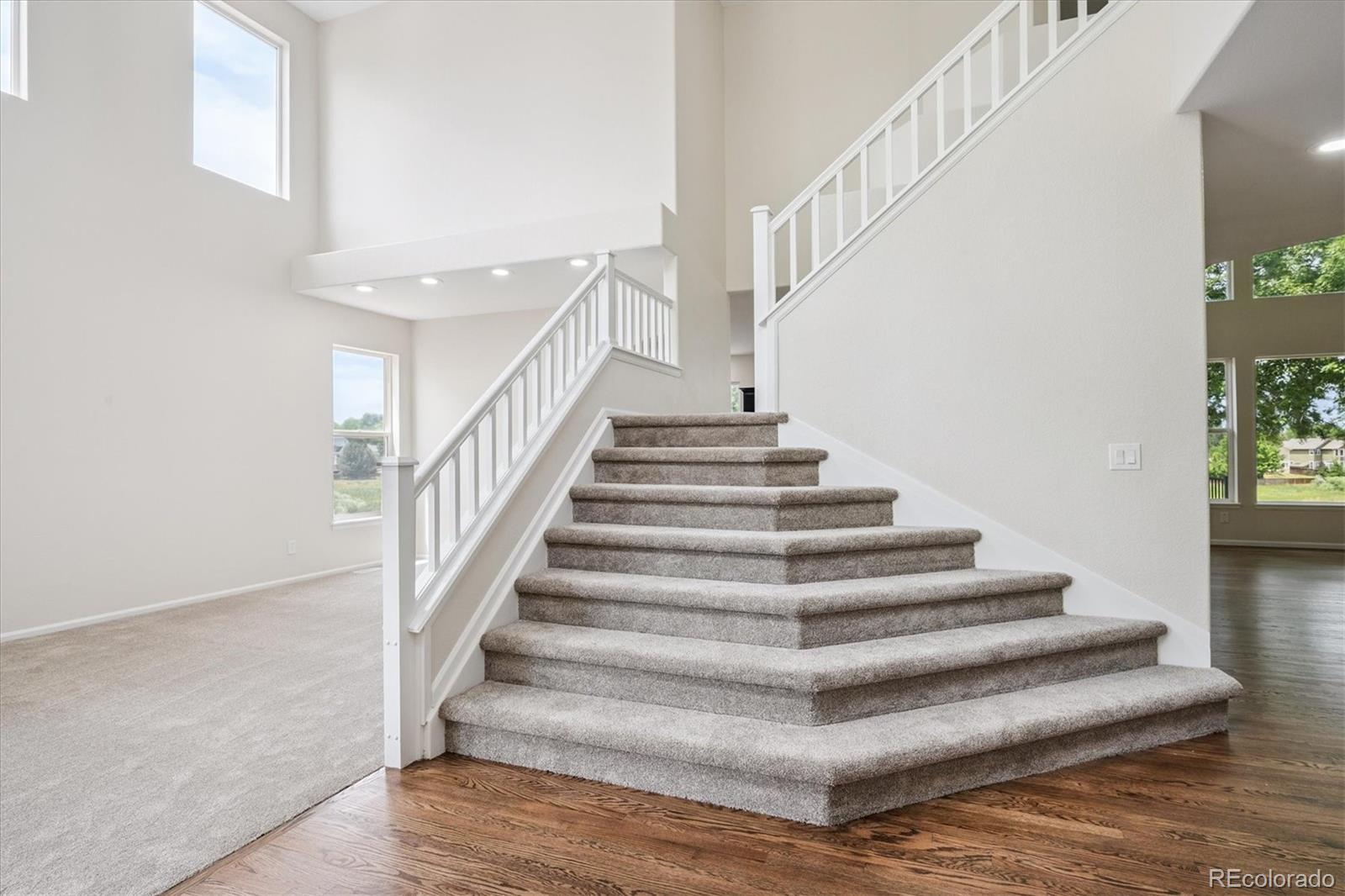 MLS Image #2 for 10765  willow reed court,parker, Colorado