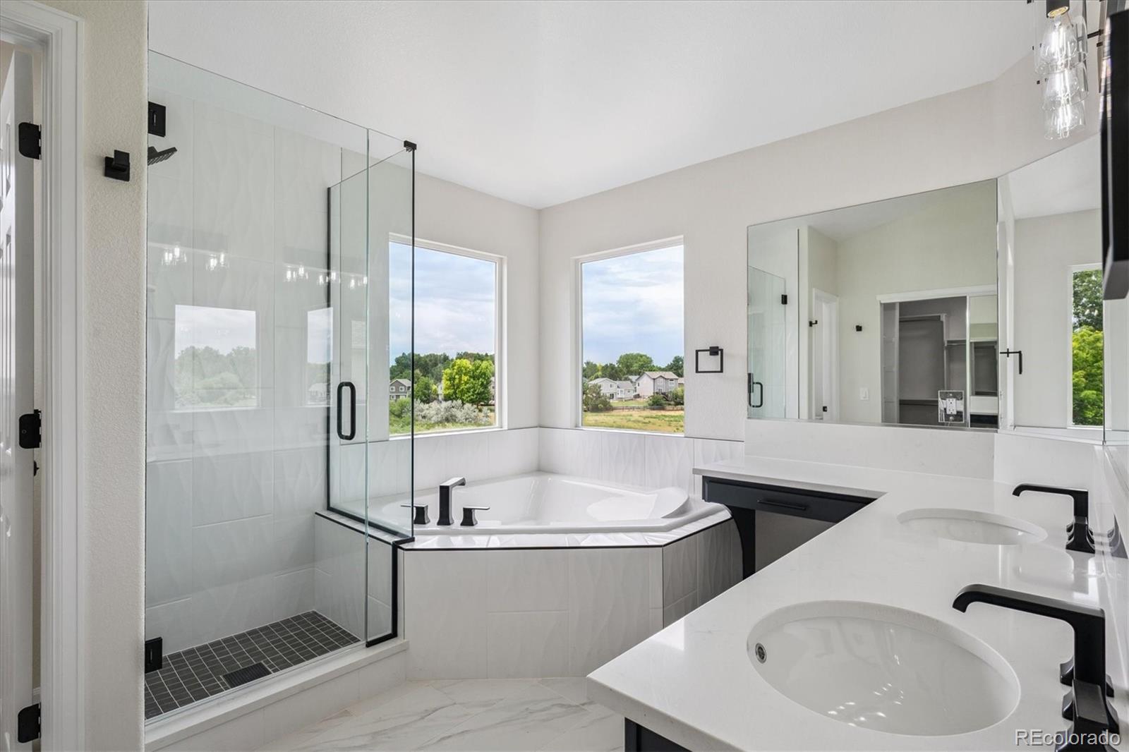 MLS Image #27 for 10765  willow reed court,parker, Colorado