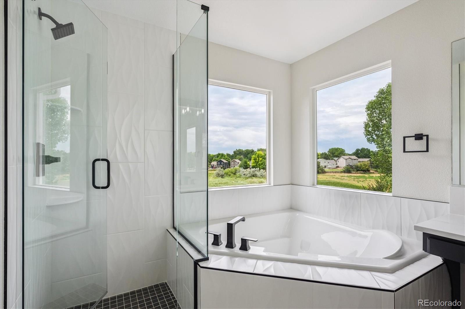MLS Image #29 for 10765  willow reed court,parker, Colorado