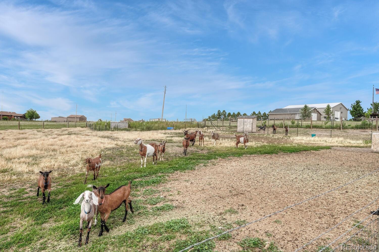 MLS Image #39 for 45814  summit road,parker, Colorado