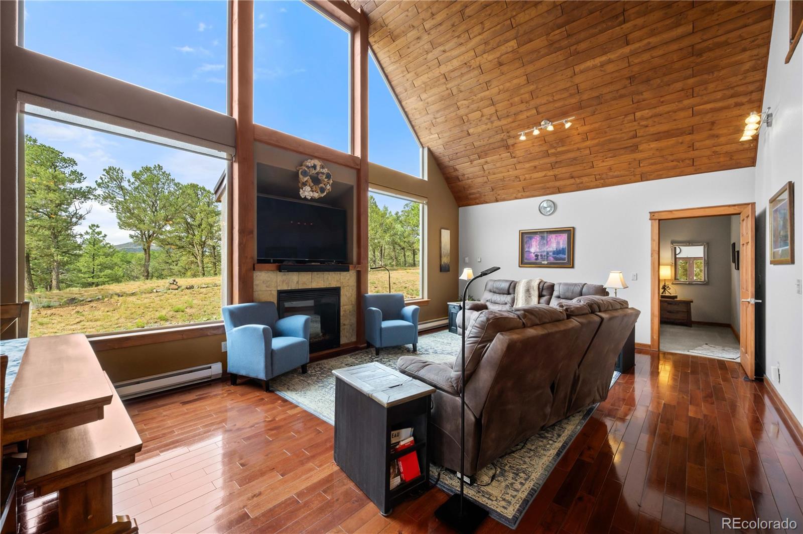 MLS Image #15 for 477 w view road,cotopaxi, Colorado