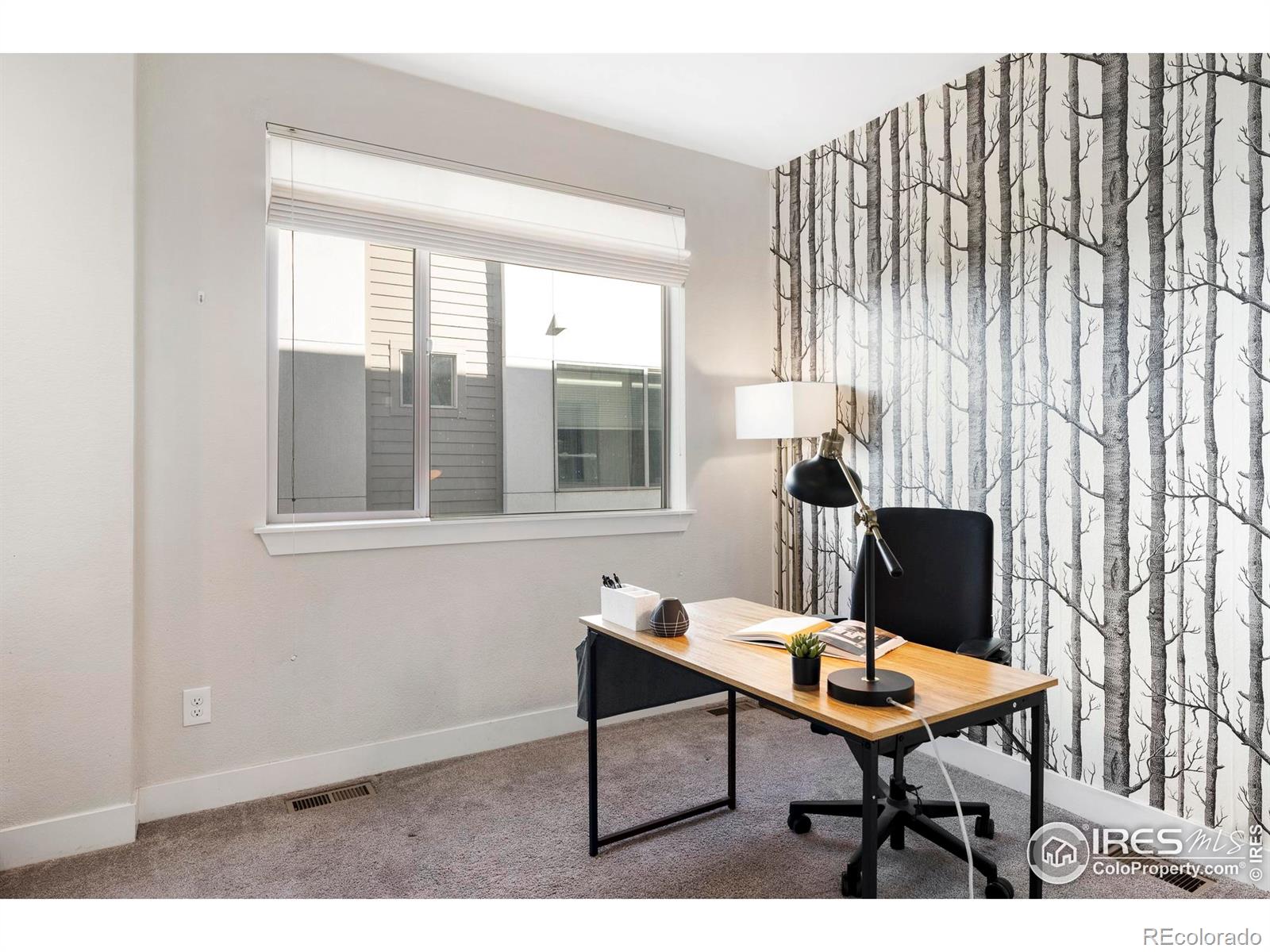 MLS Image #17 for 2110  decatur street,denver, Colorado