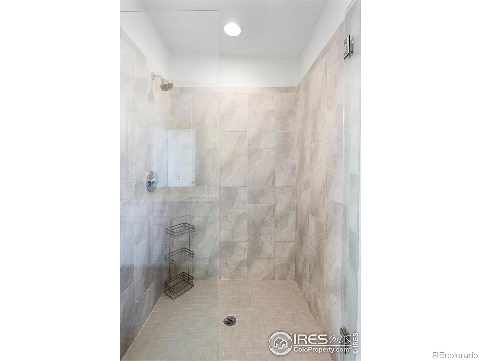 MLS Image #21 for 2110  decatur street,denver, Colorado