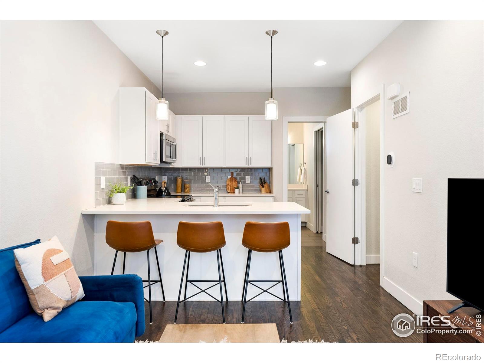 MLS Image #4 for 2110  decatur street,denver, Colorado