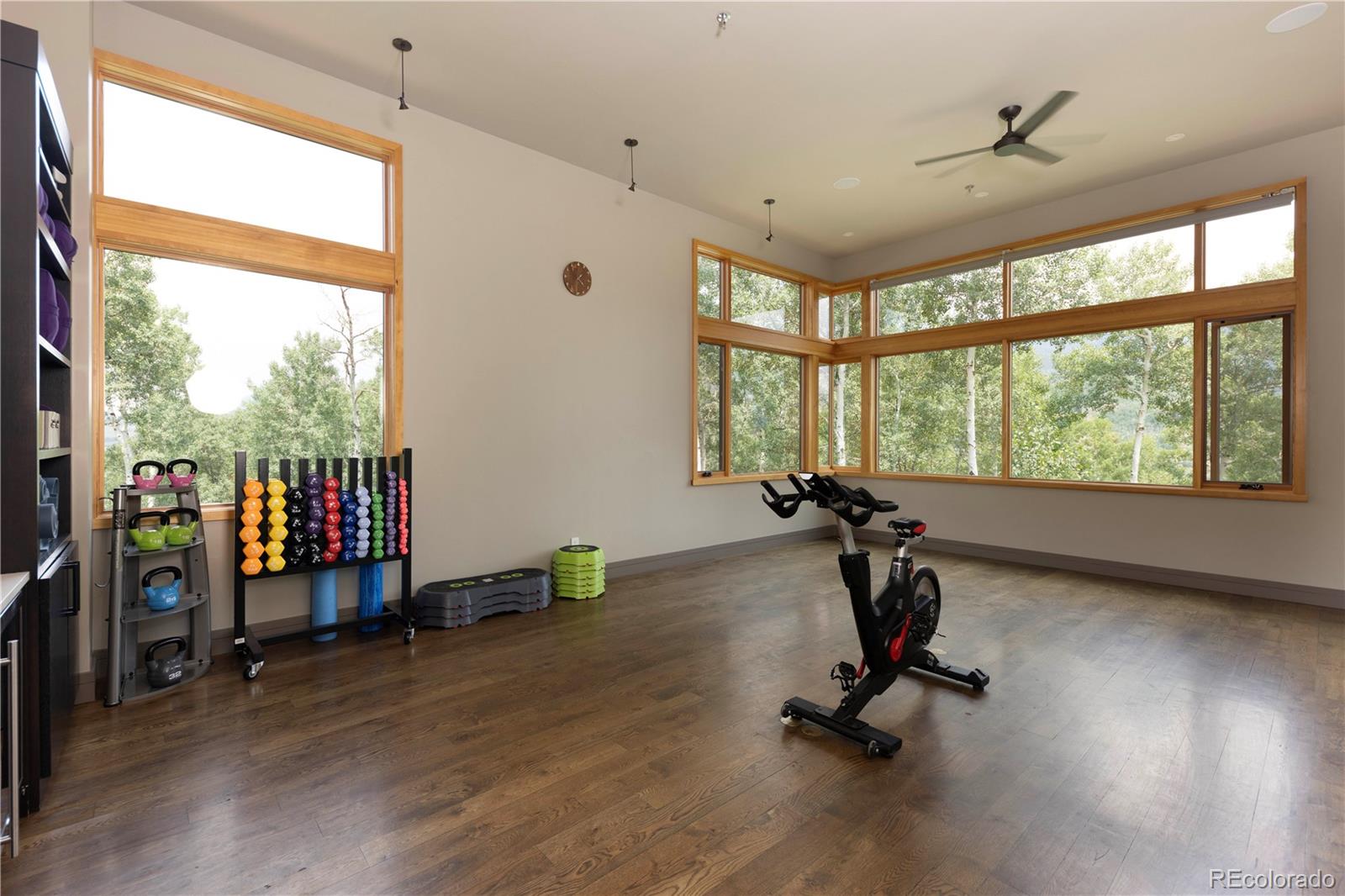 MLS Image #29 for 22  vernon way,silverthorne, Colorado
