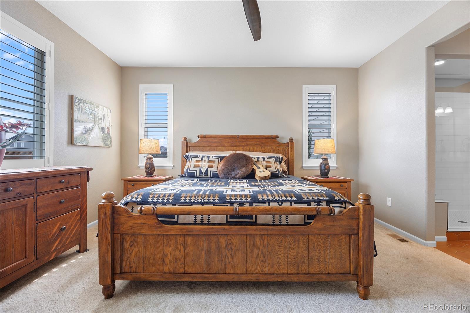 MLS Image #16 for 6324  leilani drive,castle rock, Colorado