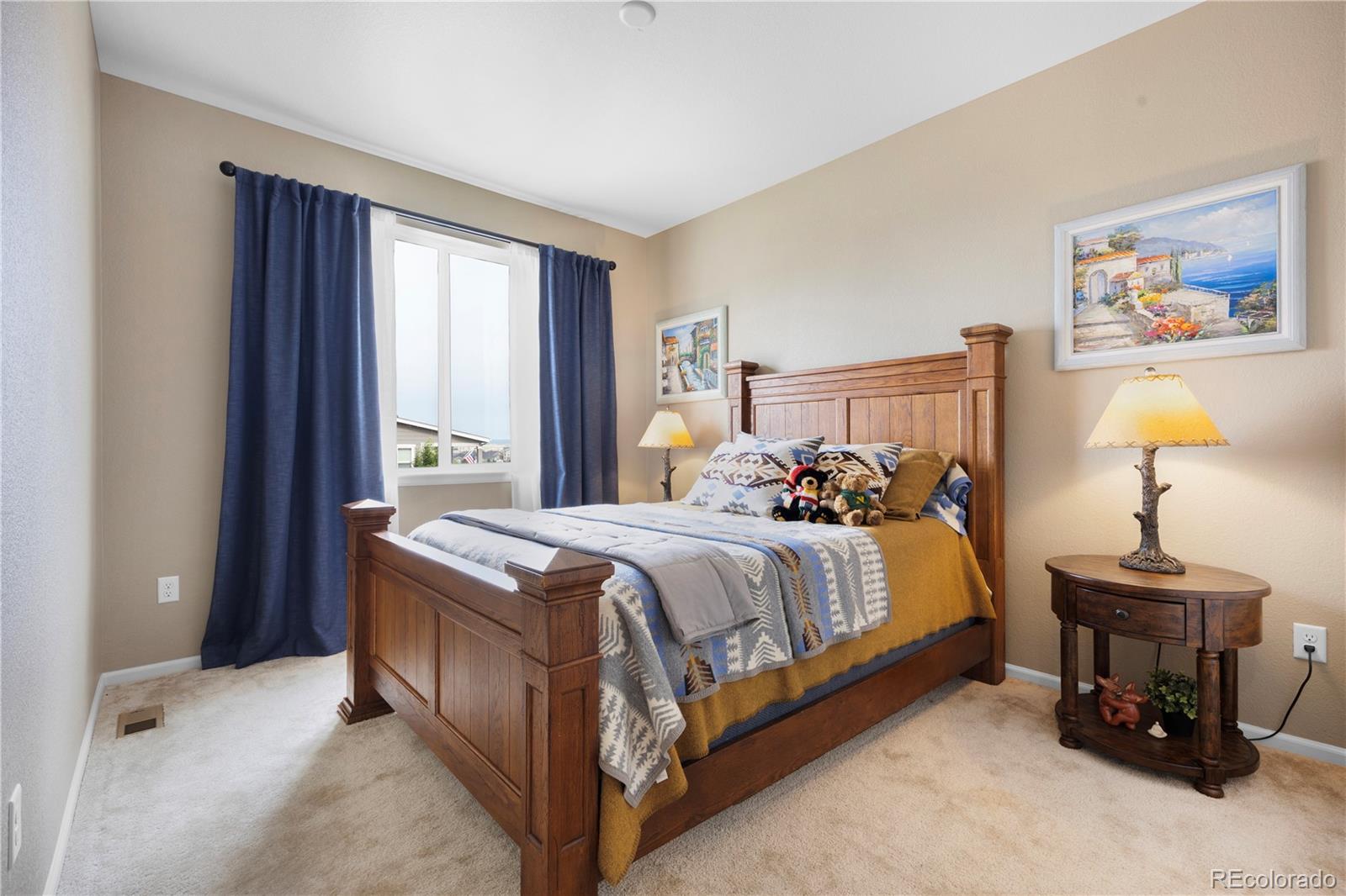 MLS Image #25 for 6324  leilani drive,castle rock, Colorado