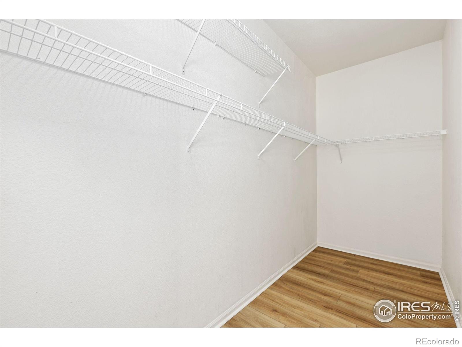 MLS Image #10 for 2855  blue sky circle,erie, Colorado