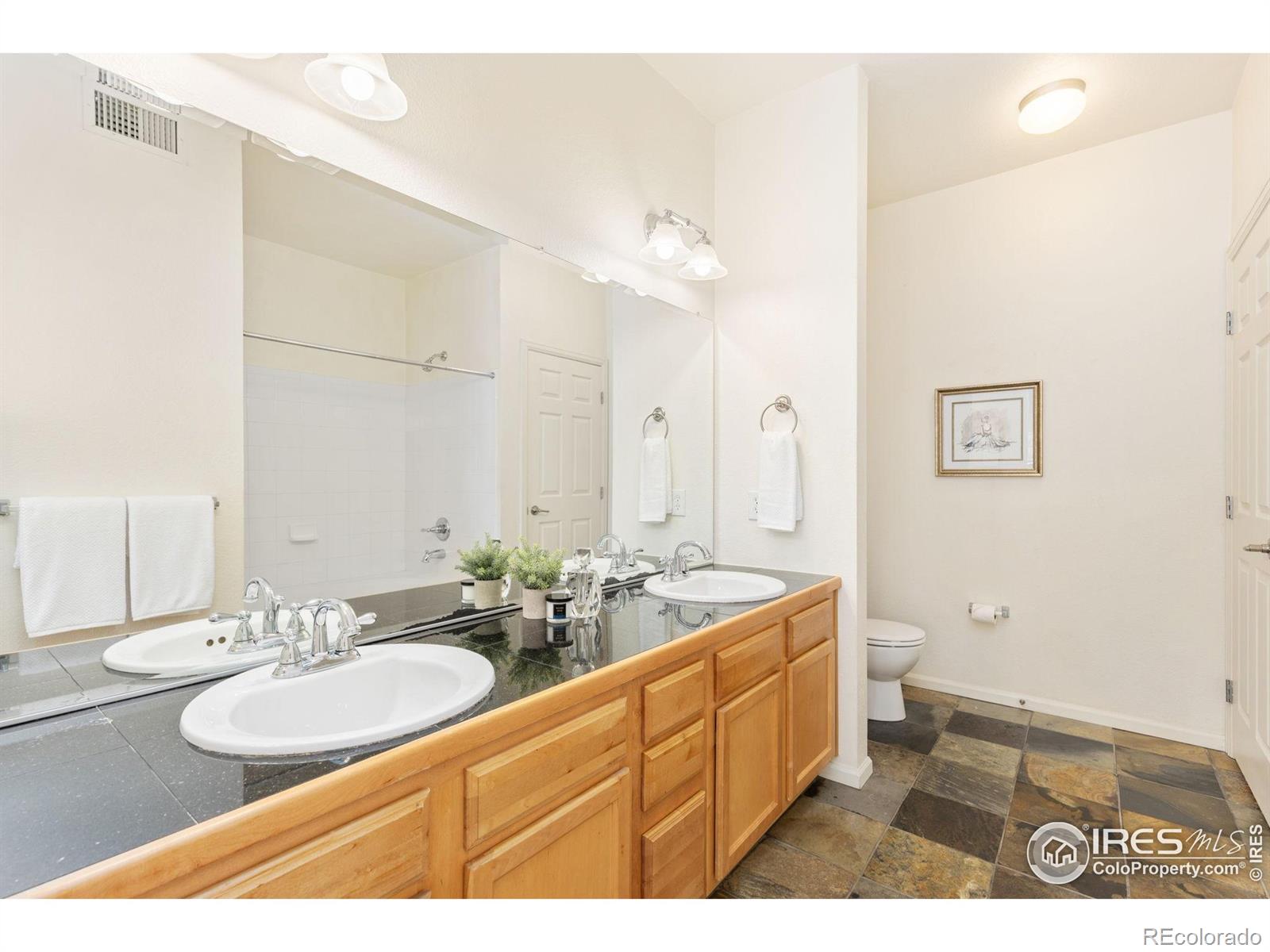 MLS Image #11 for 2855  blue sky circle,erie, Colorado