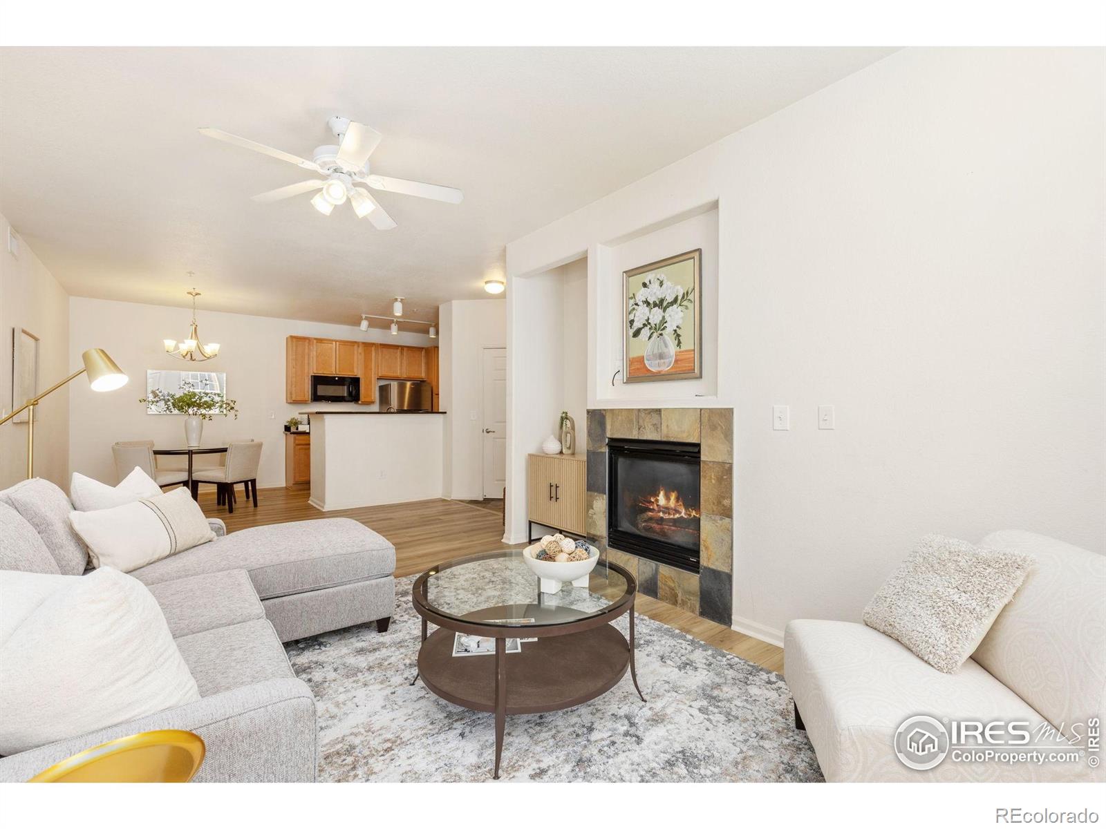 MLS Image #3 for 2855  blue sky circle,erie, Colorado