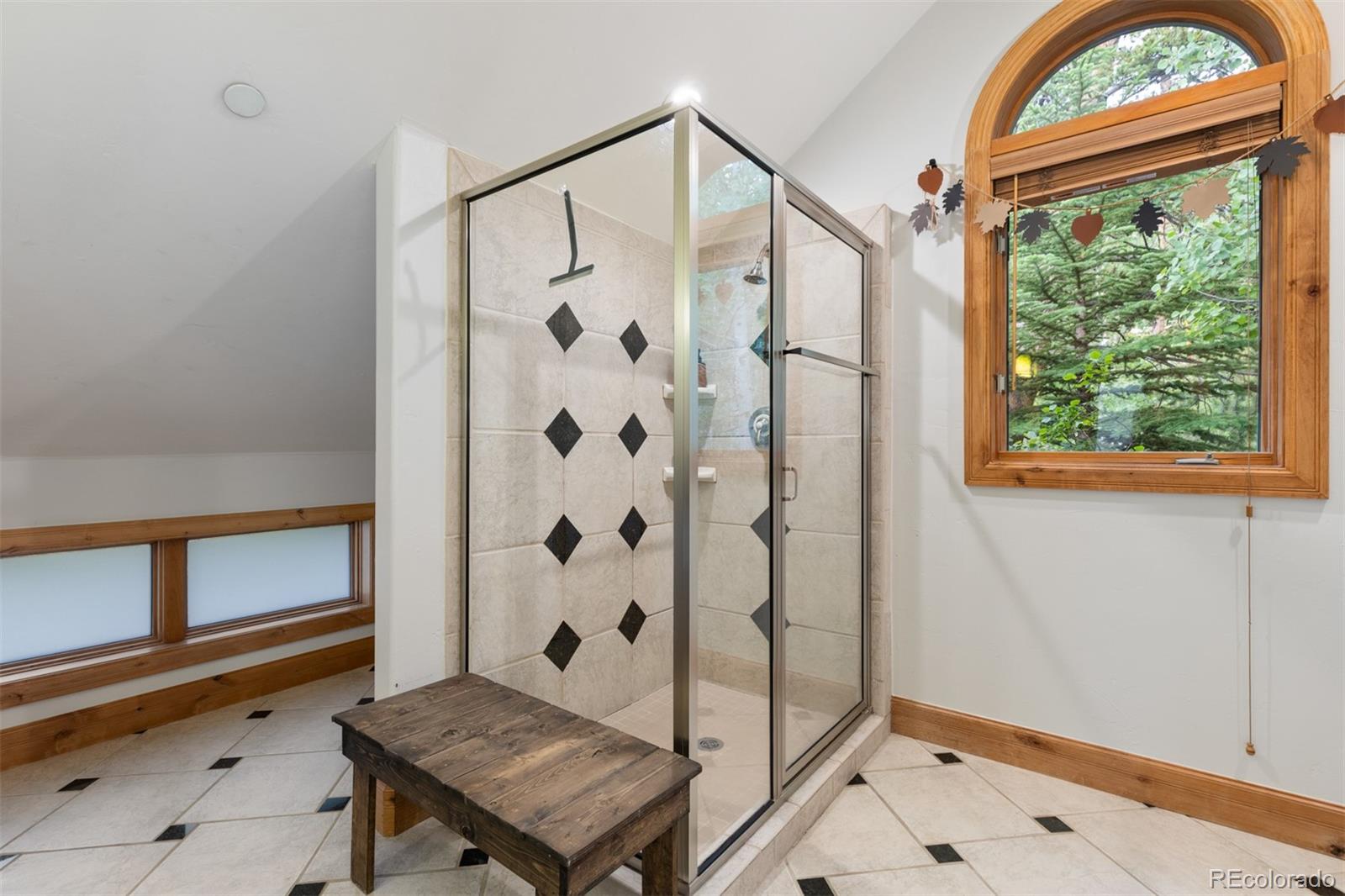 MLS Image #28 for 8  fletcher court,breckenridge, Colorado