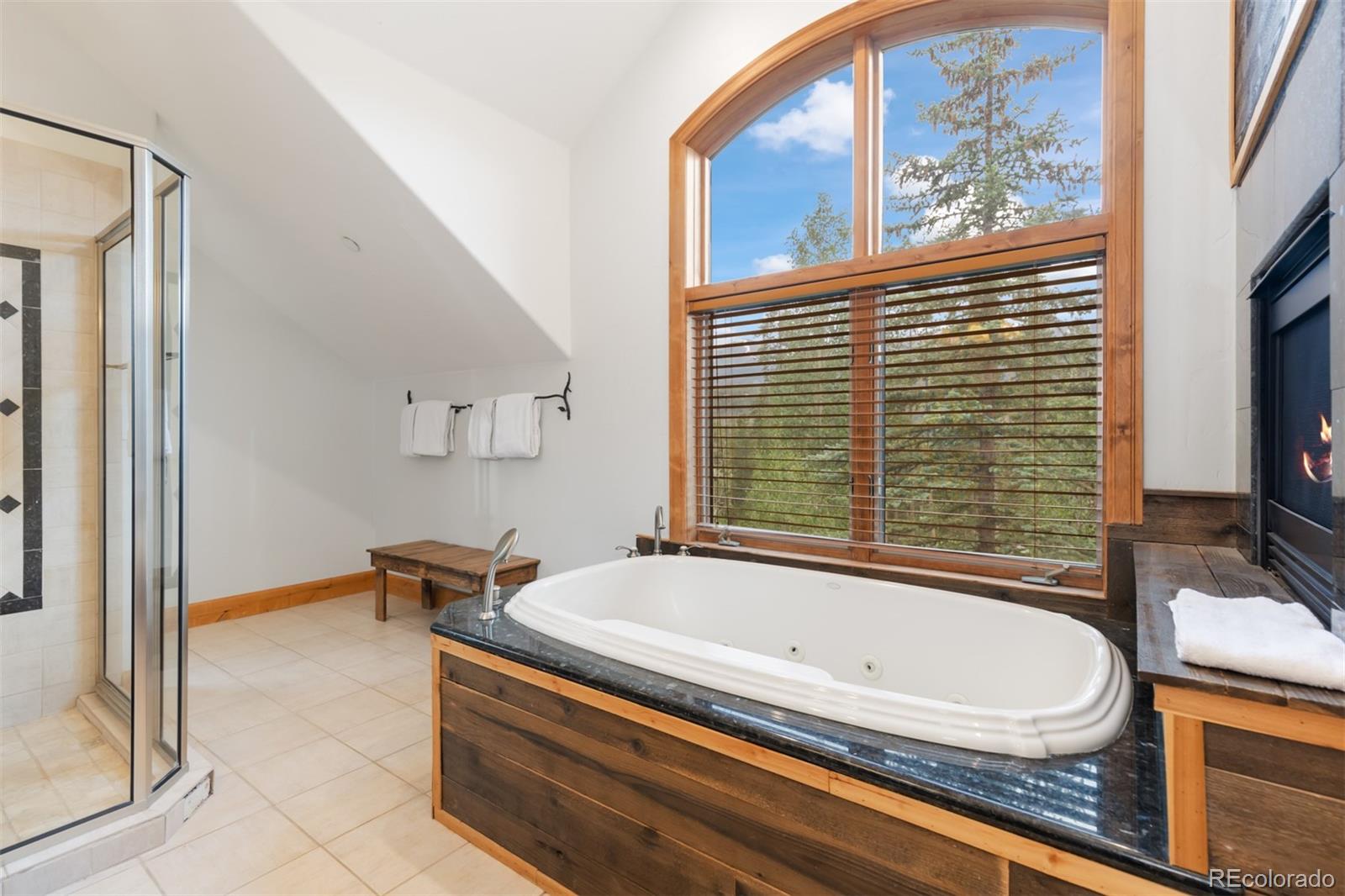 MLS Image #32 for 8  fletcher court,breckenridge, Colorado