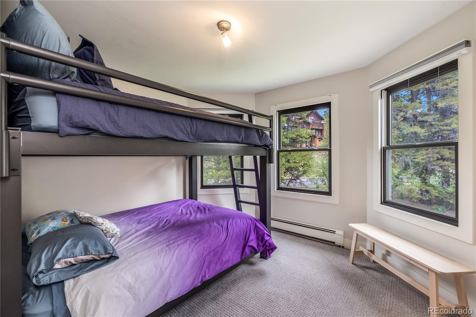 MLS Image #21 for 196  wellington road,breckenridge, Colorado