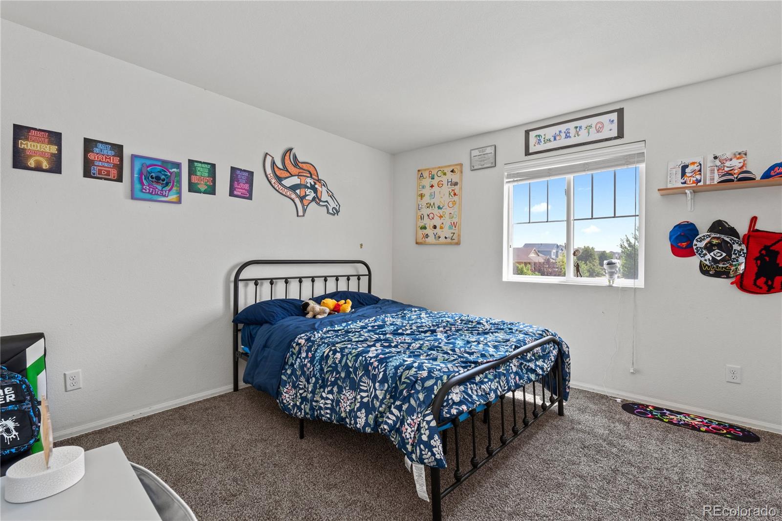 MLS Image #10 for 239 s millbrook street,aurora, Colorado