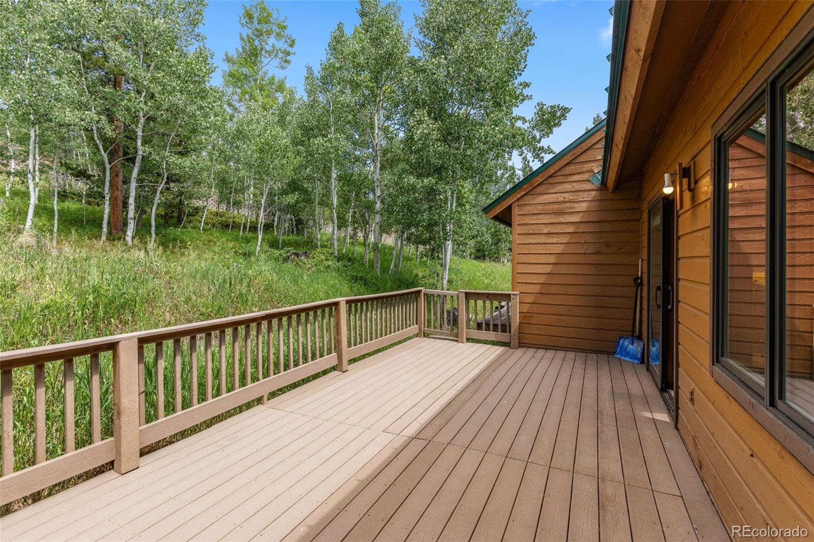 MLS Image #11 for 132  burgundy circle,silverthorne, Colorado