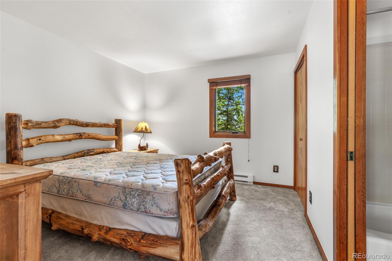 MLS Image #23 for 132  burgundy circle,silverthorne, Colorado