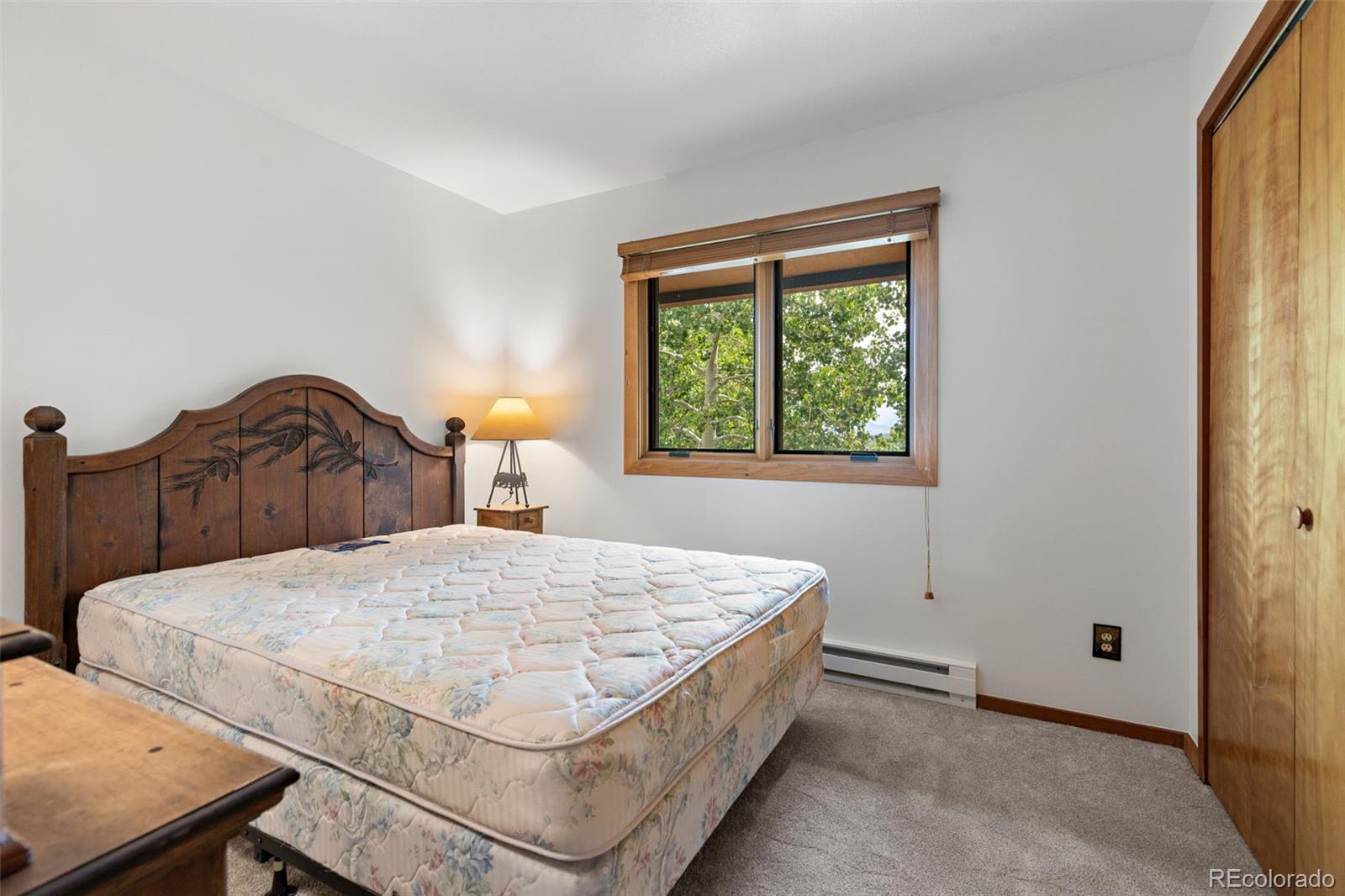 MLS Image #29 for 132  burgundy circle,silverthorne, Colorado