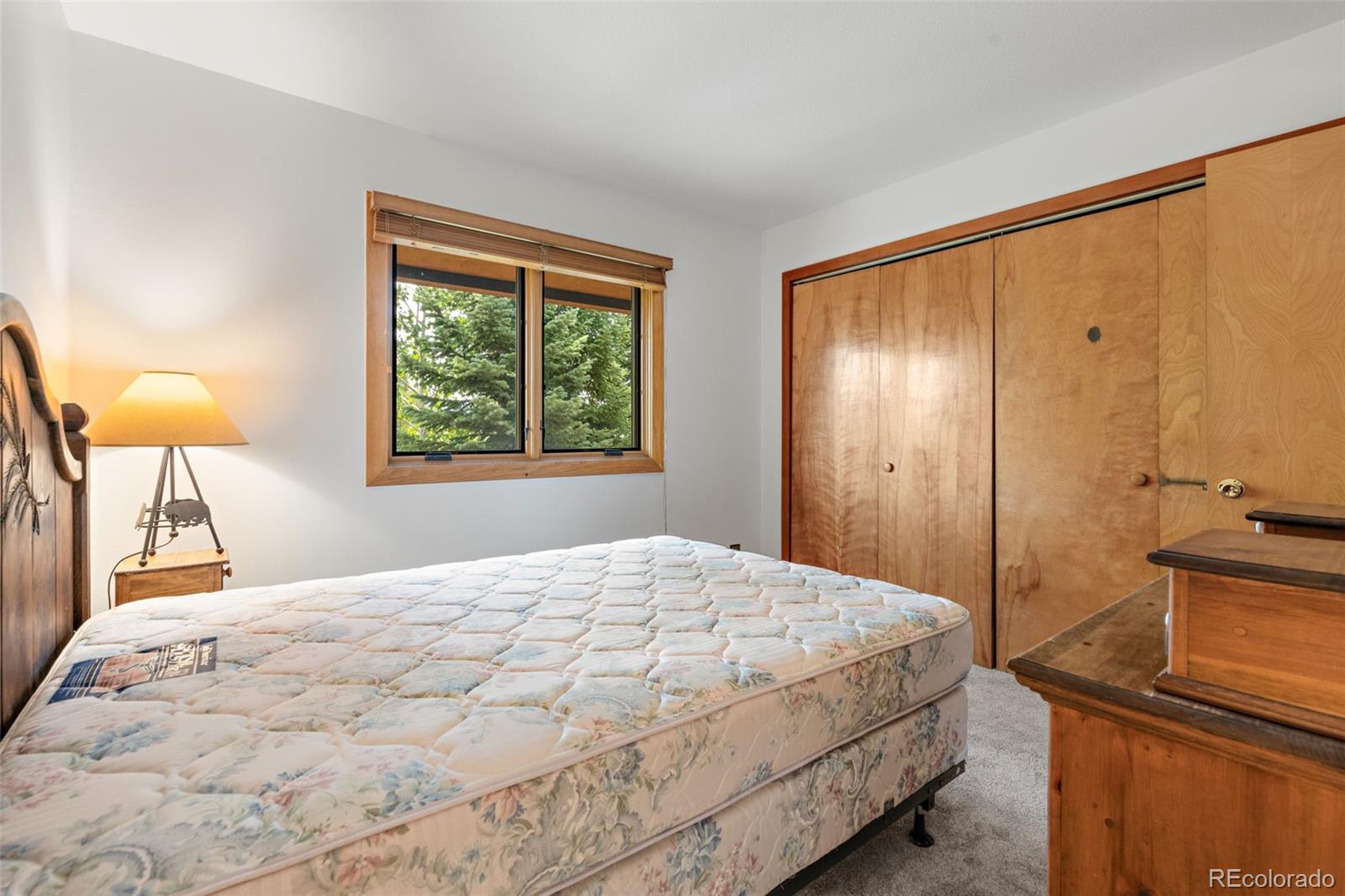 MLS Image #31 for 132  burgundy circle,silverthorne, Colorado