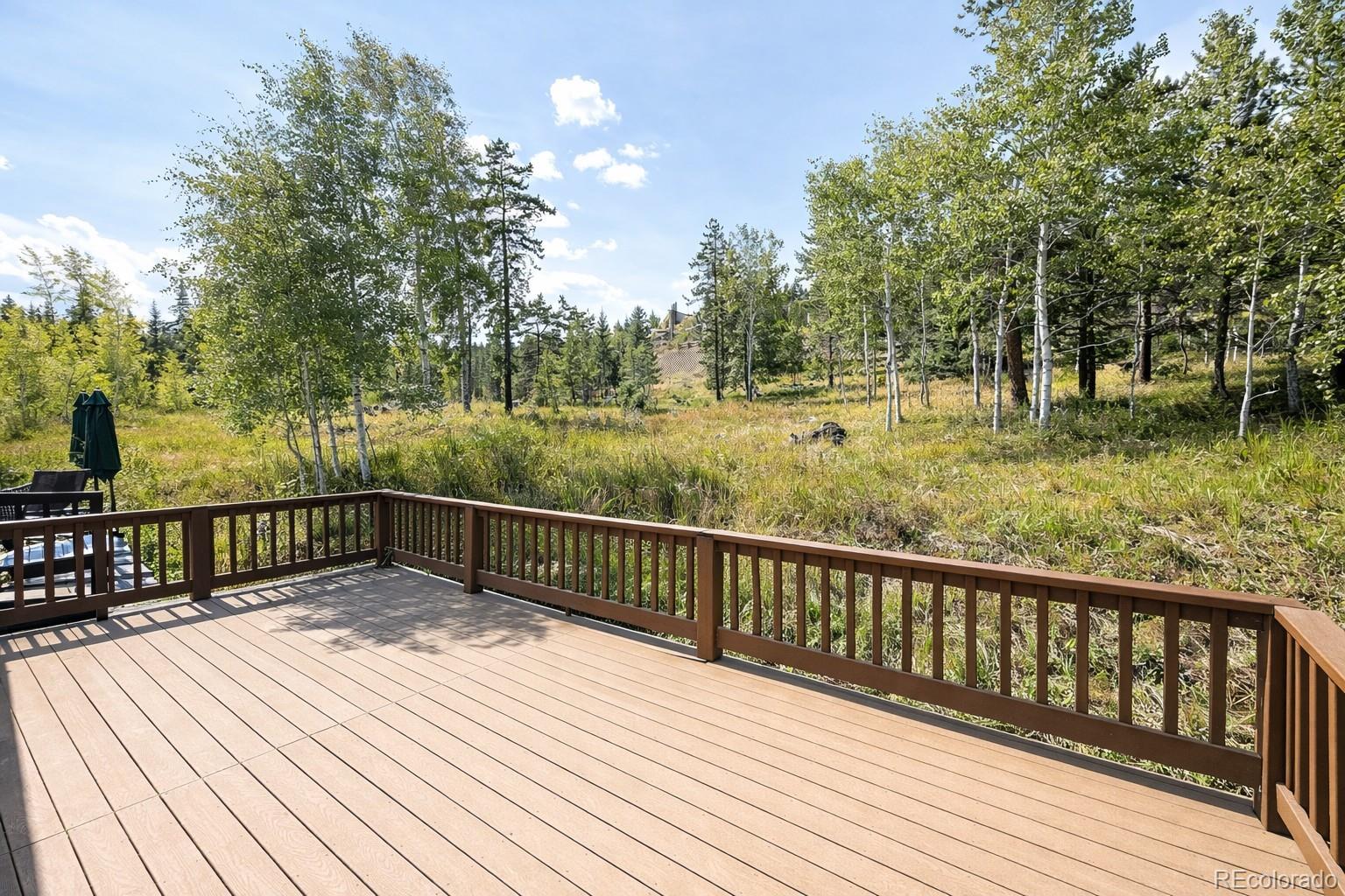 MLS Image #46 for 132  burgundy circle,silverthorne, Colorado