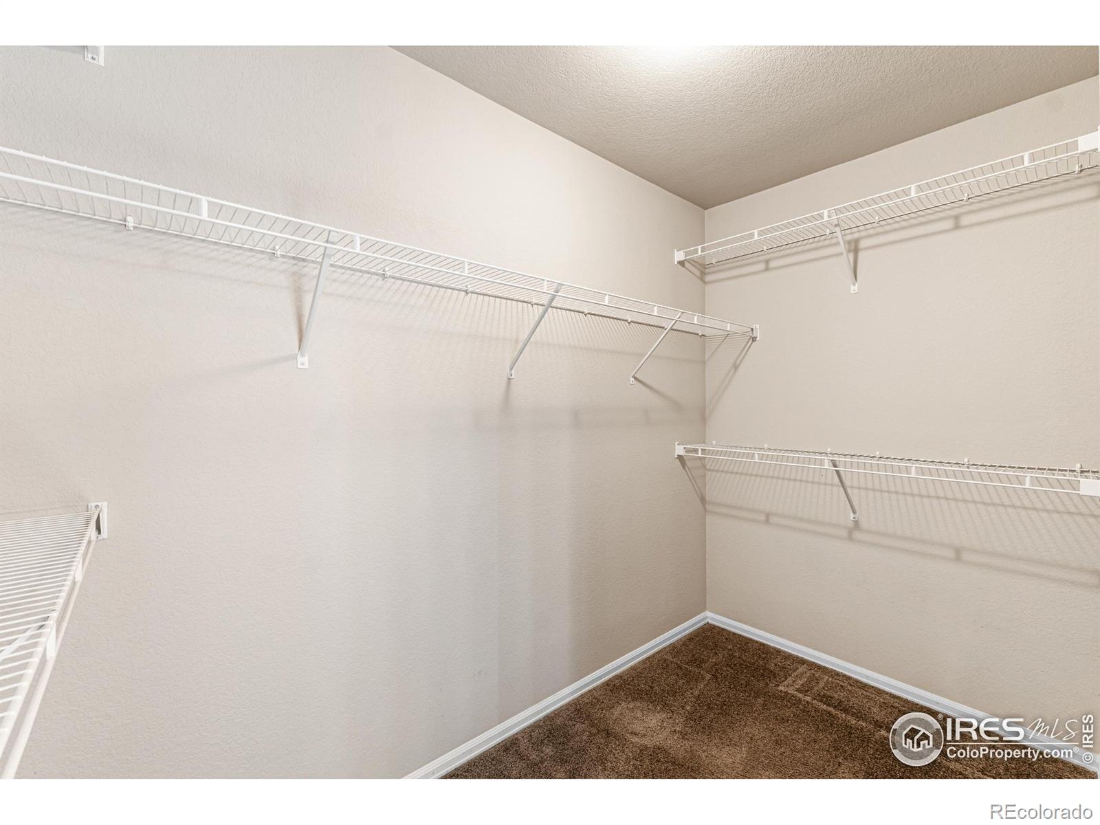 MLS Image #22 for 2051  grain bin drive,windsor, Colorado