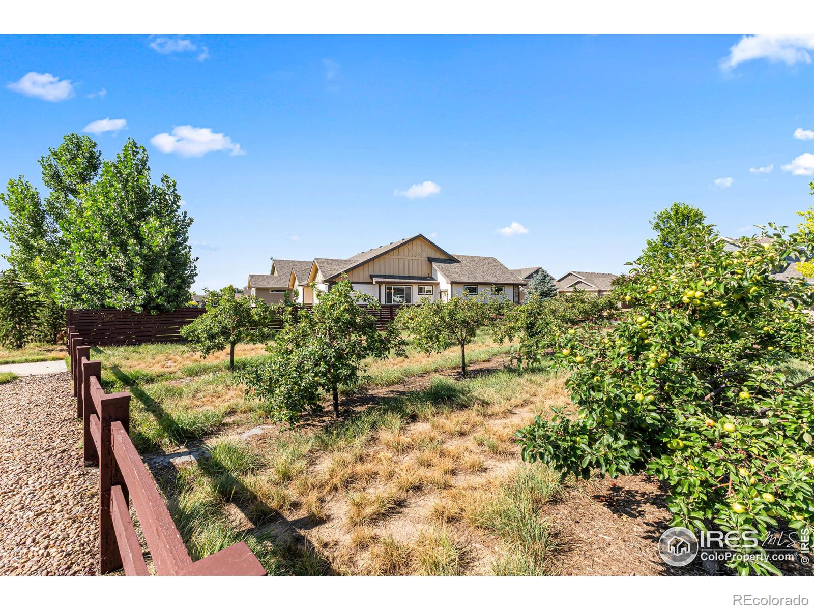 MLS Image #38 for 2051  grain bin drive,windsor, Colorado