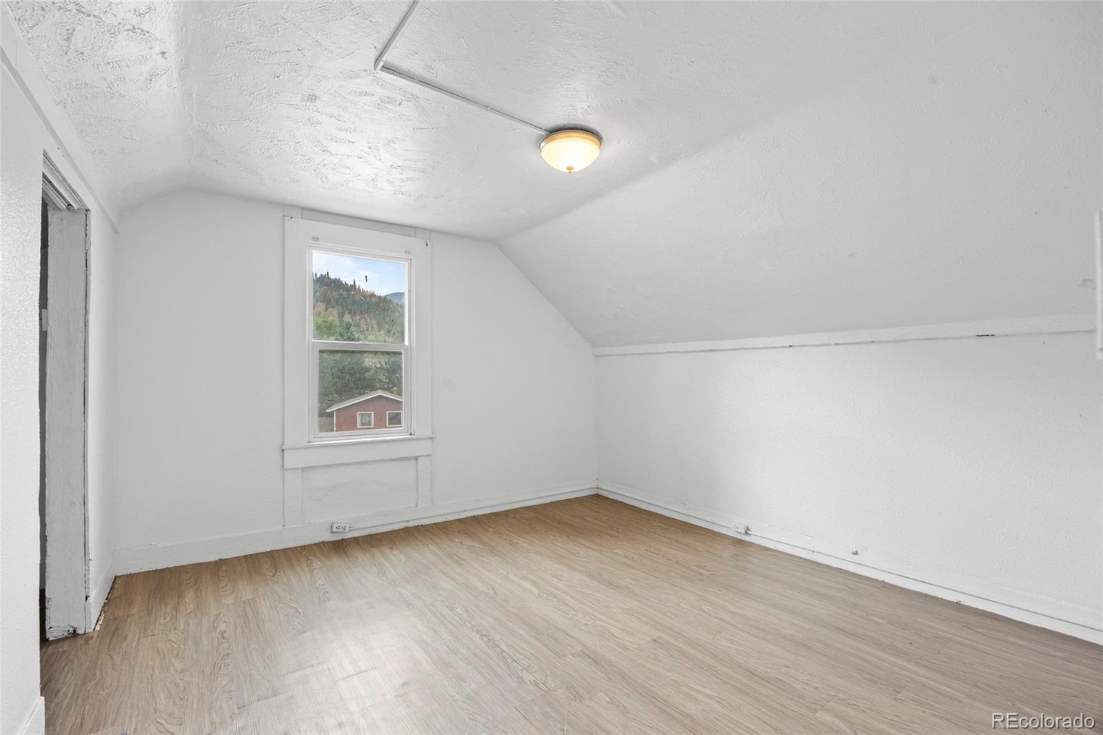 MLS Image #17 for 2007  virginia street,idaho springs, Colorado
